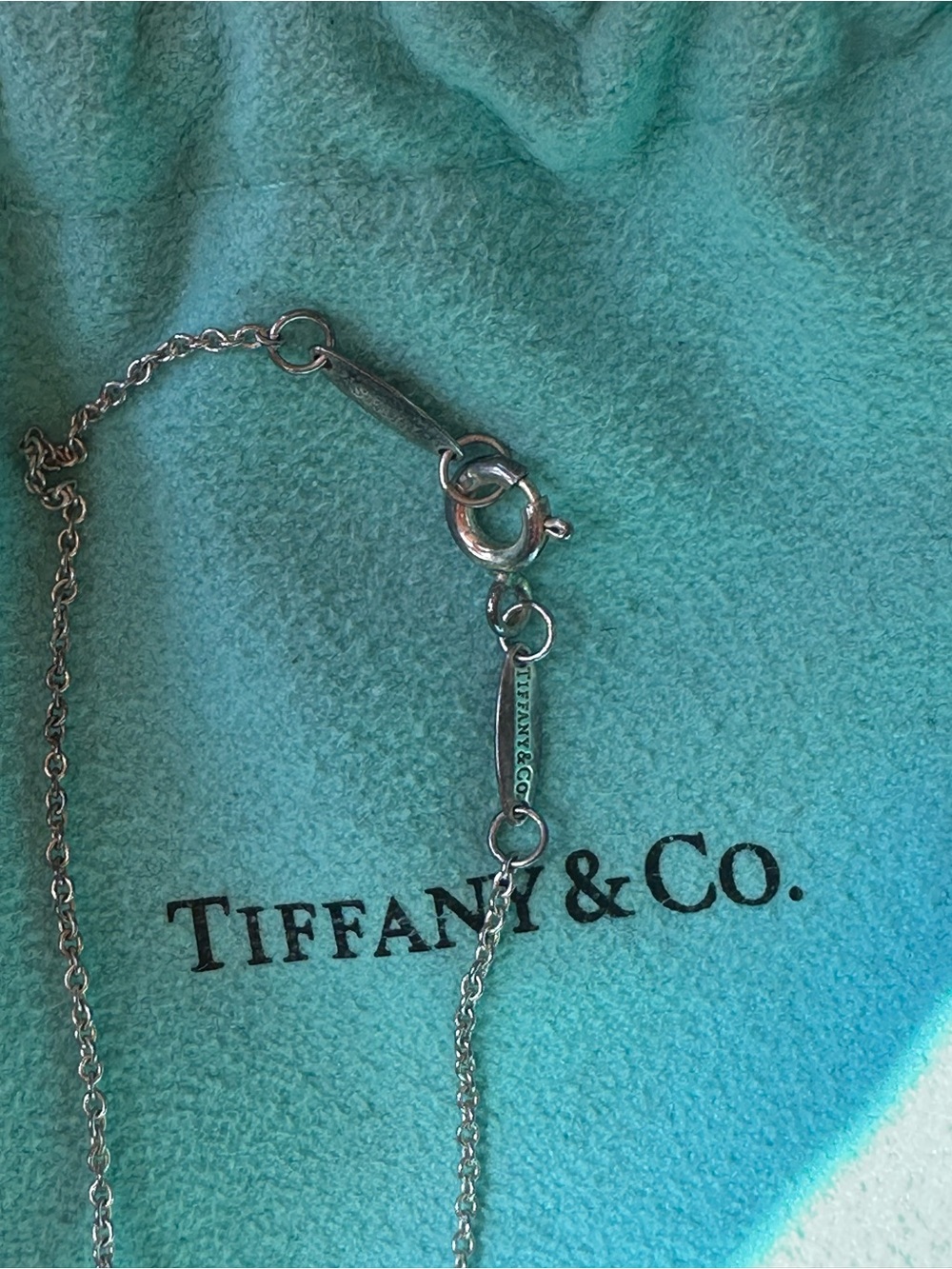 Tiffany & Co. Elsa Peretti Sterling Silver Bean Pendant Necklace - Turquoise - Picture 5 of 15